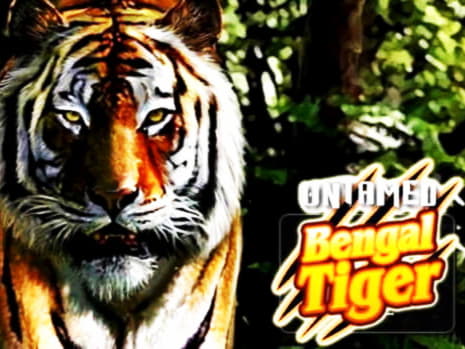 EUR 670 Free chip casino at Mansion Casino